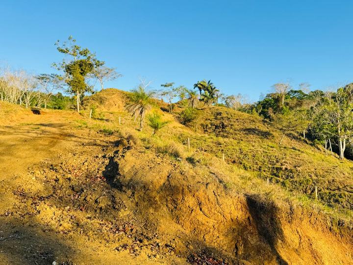 Ladera abierta
