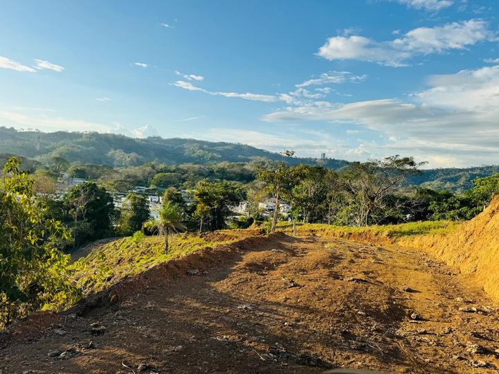 Camino interno sobre la fila